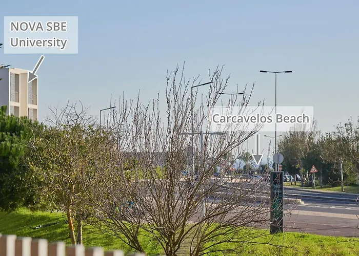Sunny Apartament At Carcavelos Beach, By Timecooler